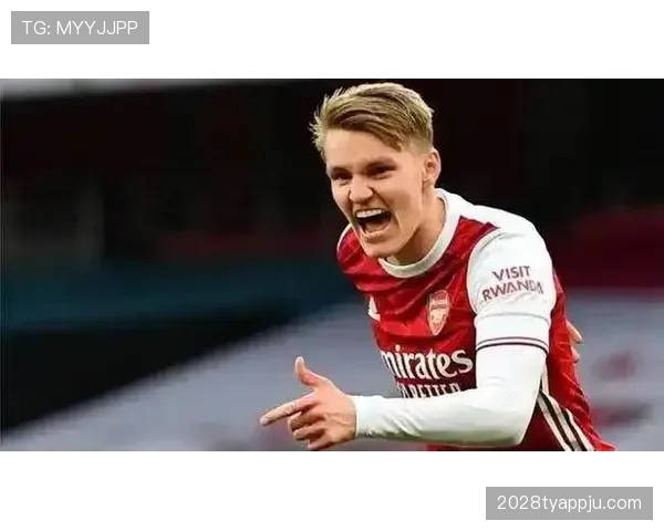 厄德高为何评价两极分化？战术定位与实际影响力的落差解析