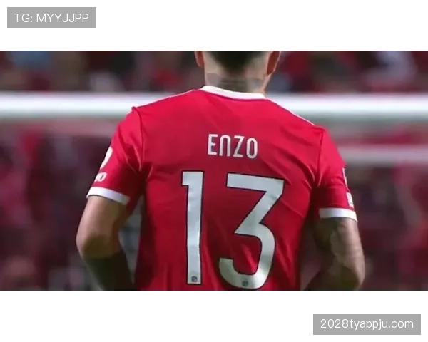 恩佐1.2亿欧元转会费合理性解析：标王身价背后的逻辑与质疑